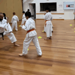 LBKI Karate classes